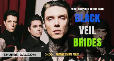 Black Veil Brides: Unraveling the Band's Journey and Current Status