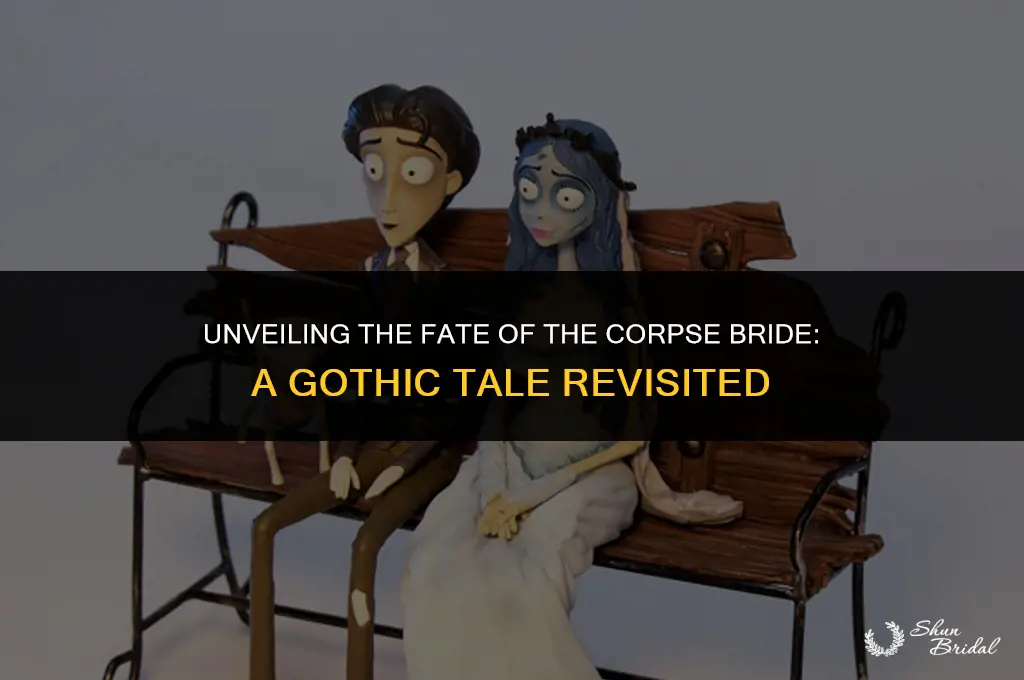 what happened to the corpse bride