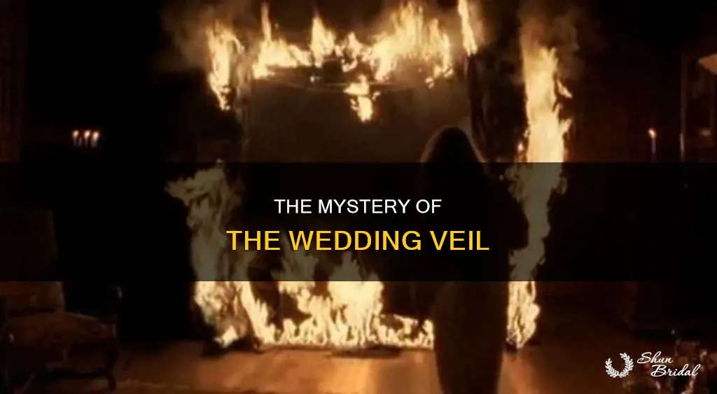 what happened to the wedding viel in jane eyre