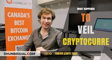 Veil Cryptocurrency's Sudden Disappearance: Unraveling the Mystery Behind Its Fall