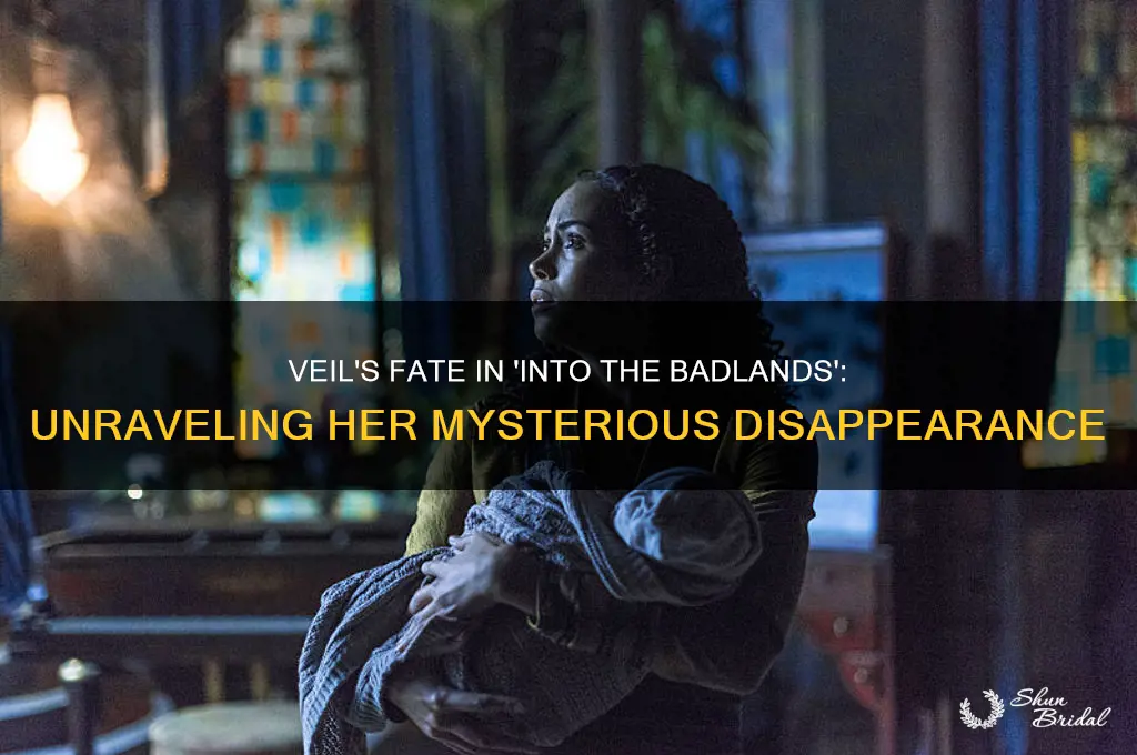 what happened to veil in into the badlands