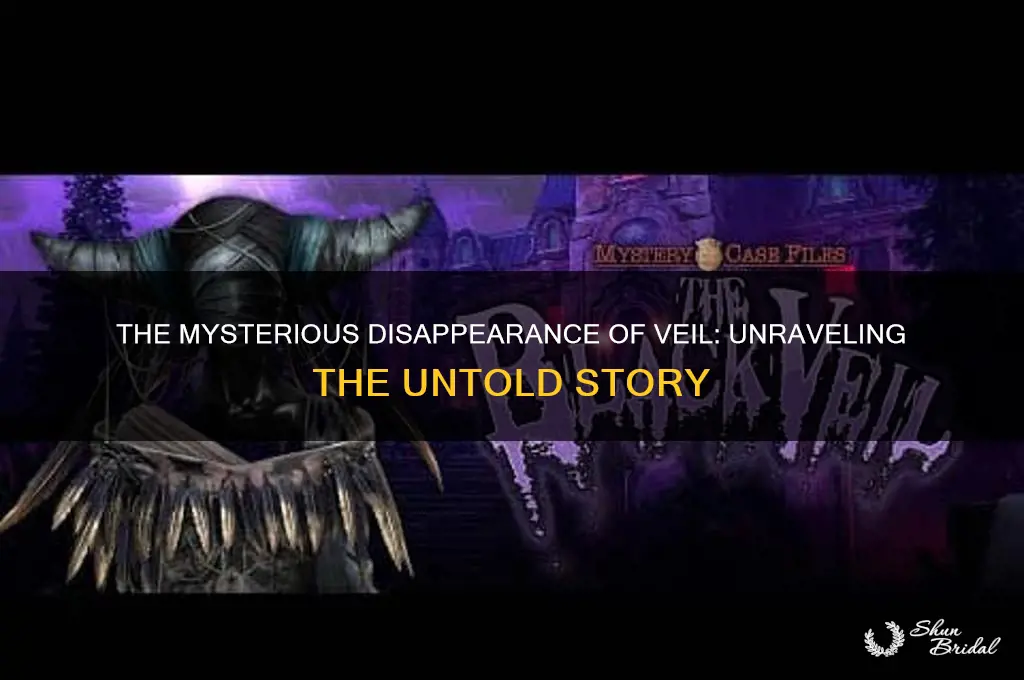 The Mysterious Disappearance Of Veil Unraveling The Untold Story