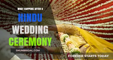 Post-Wedding Rituals: Exploring Life After a Hindu Marriage Ceremony