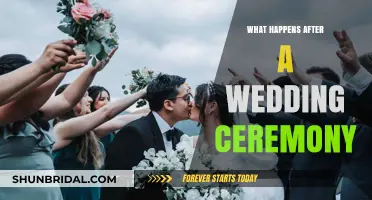 Post-Wedding Bliss: What Happens After Saying 'I Do