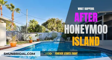 Exploring the Wonders Beyond Honeymoon Island: A Journey Unveiled