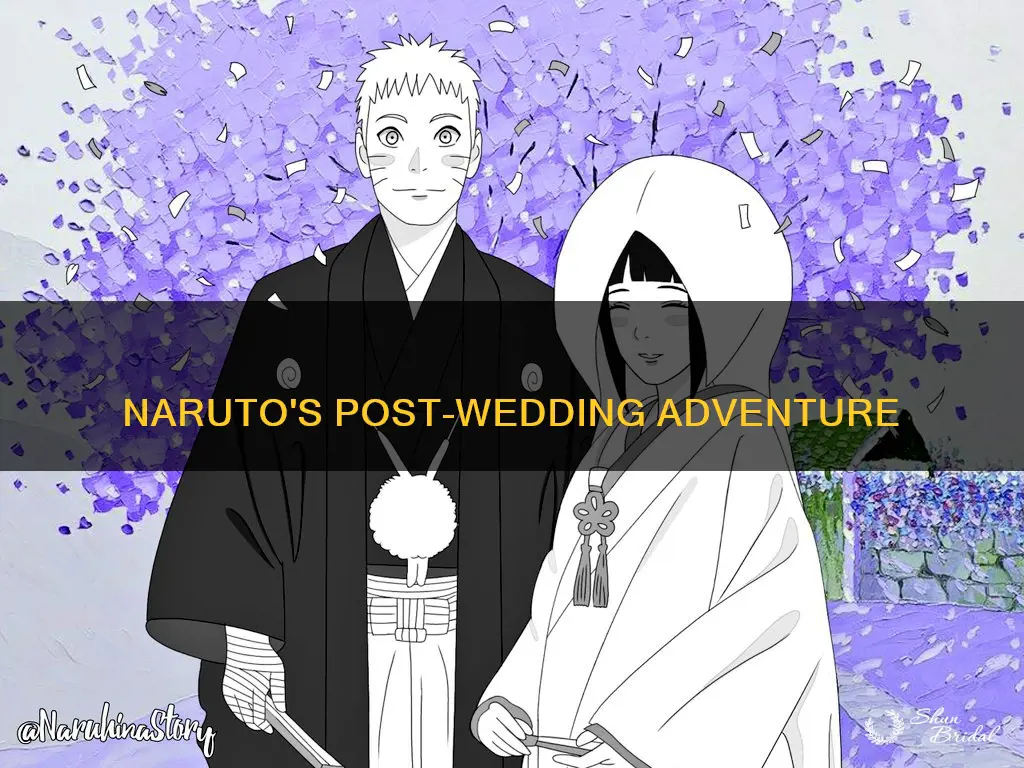 what happens after naruto