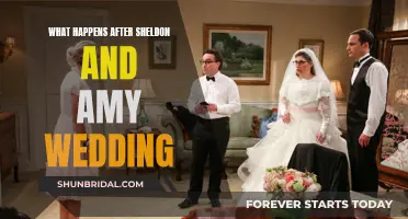 Sheldon and Amy's Post-Wedding Adventure