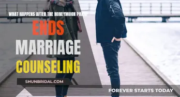Honeymoon Phase Over: Marriage Counseling for the Long Haul