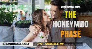 Beyond Bliss: Navigating Relationships After the Honeymoon Phase Ends