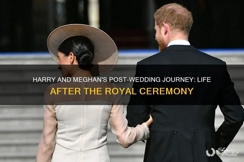 what happens after the wedding ceremony harry and meghan