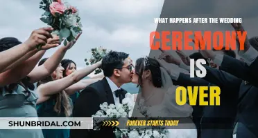 Post-Wedding Bliss: What Happens After the Ceremony Ends?