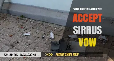 Sirrus Vow Aftermath: Unveiling the Consequences of Acceptance