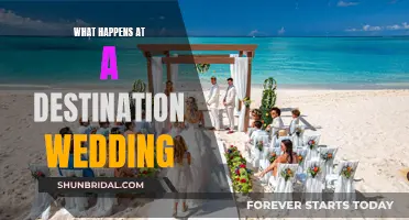 Destination Wedding: A Magical Experience