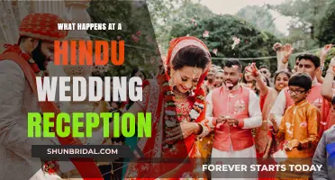 A Hindu Wedding Reception: Traditions and Rituals Explained