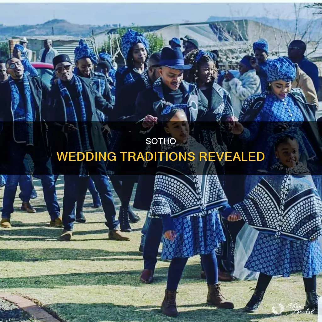 what happens at a traditional sotho wedding