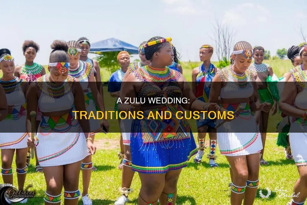 what happens at a traditional zulu wedding