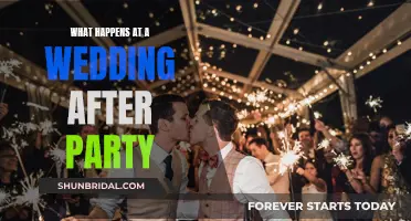 Wedding After-Party: Fun, Frolics and More