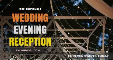 Evening Wedding Reception: Fun, Food, and Festivities