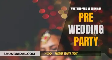 Pre-Wedding Party: Indian Style