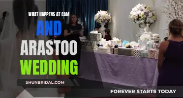 Cam and Arastoo's Wedding: What Happened?