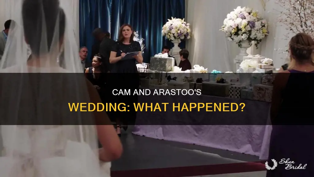 what happens at cam and arastoo wedding