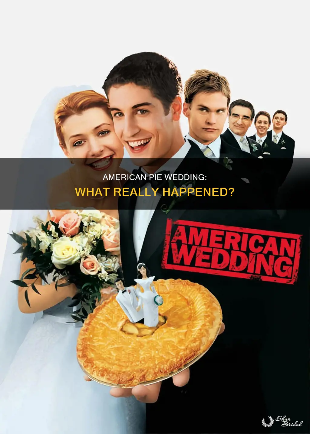 what happens at end of american pie wedding full movie