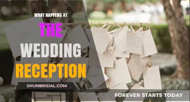 The Wedding Reception: A Step-by-Step Guide