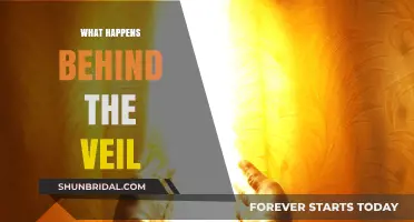 Unveiling the Unknown: Exploring What Happens Behind the Veil