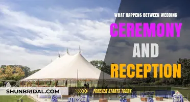 Bridging the Gap: What Happens Between Ceremony and Reception