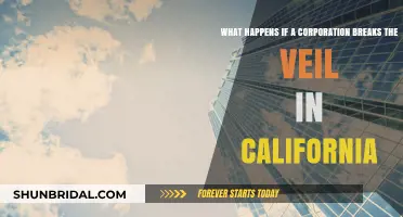 Breaking the Corporate Veil in California: Legal Consequences and Risks