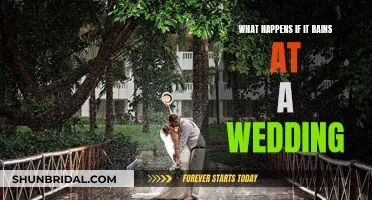 Wedding Rain: What to Expect