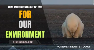 Our Planet's Future: Act Now!