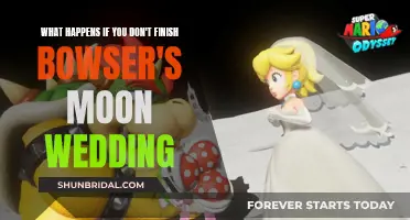 Bowser's Moon Wedding: Unseen Consequences