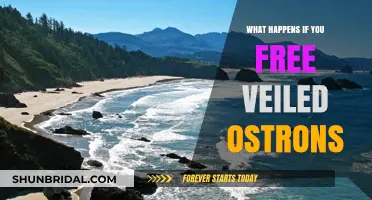 Freeing Veiled Ostrons: Consequences and Impact on Their Ecosystem