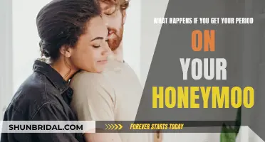 Honeymoon Horror: Period Problems and Passion