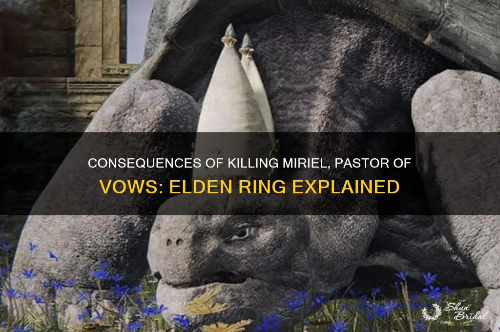 what happens if you kill miriel pastor of vows