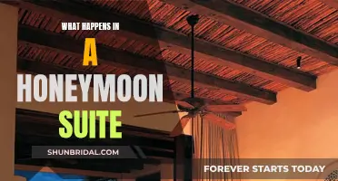 Honeymoon Secrets Unveiled: What Really Happens in a Suite