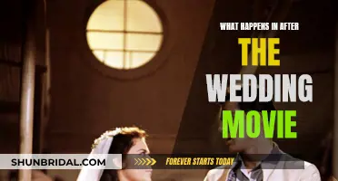 Wedding Movie: What Comes After?