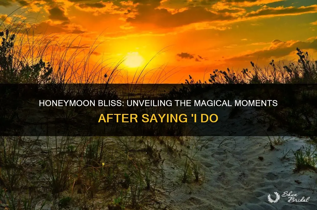 what happens in honeymoon after marriage