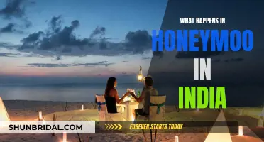 Exploring India's Honeymoons: A Journey of Love and Adventure