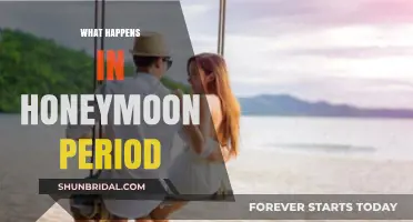 Honeymoon Bliss: Unveiling the Magic of the Early Relationship Phase