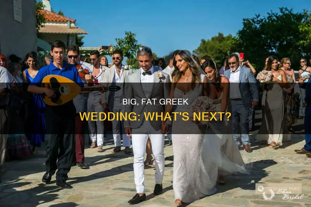 what happens in my big fat greek wedding 3