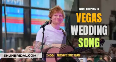 Vegas Wedding Song: What Happens in Vegas?