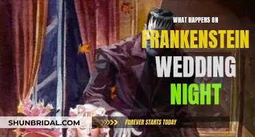 Frankenstein's Wedding Night: A Night to Remember