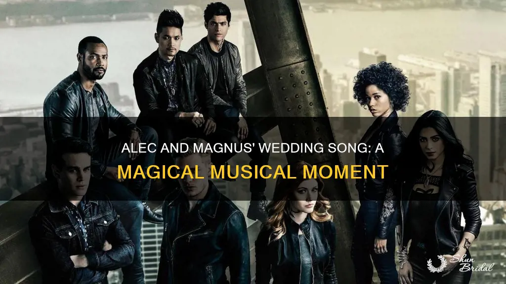 what happens to alec and magnus wedding song