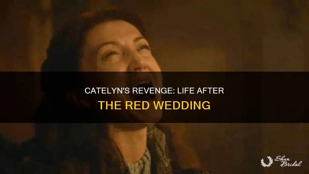 what happens to catelyn stark after the red wedding