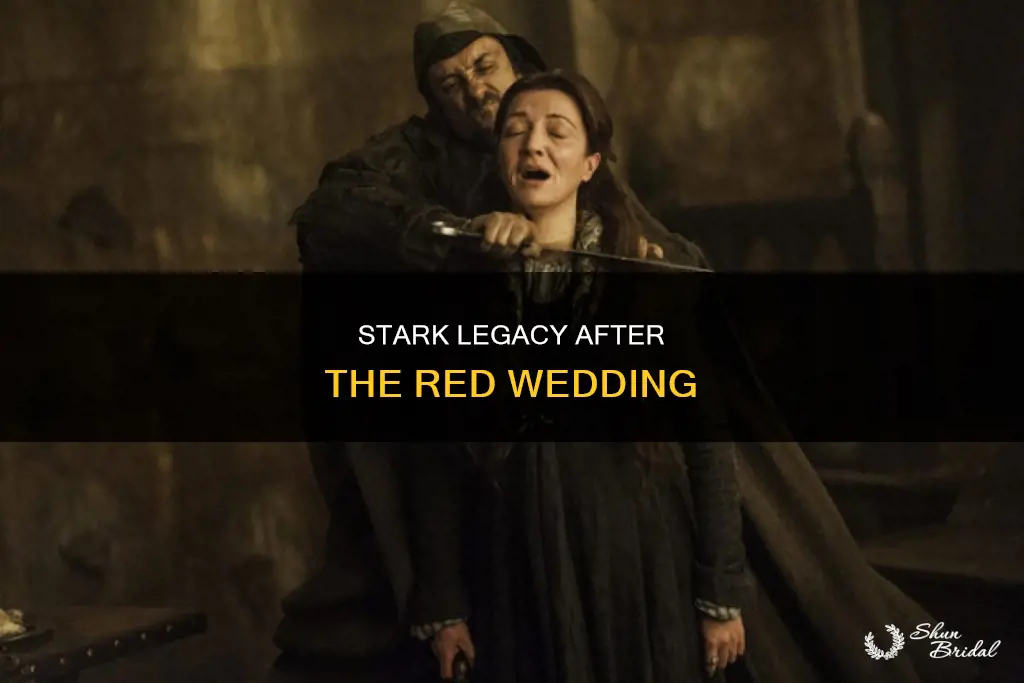 what happens to house stark after the red wedding