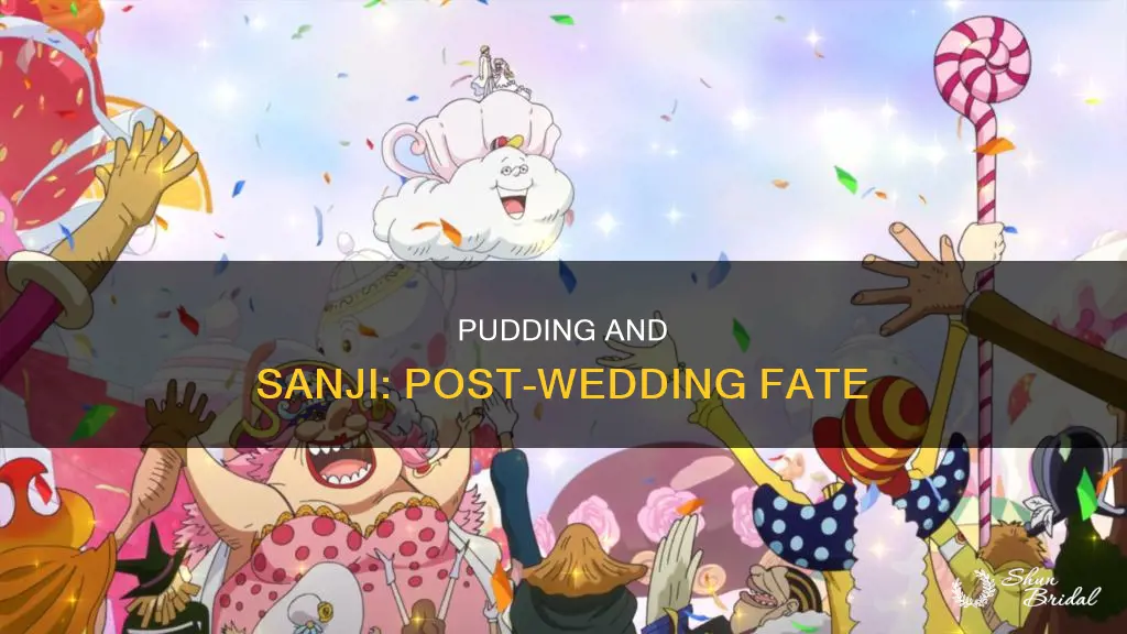 what happens to pudding and sanji after the wedding