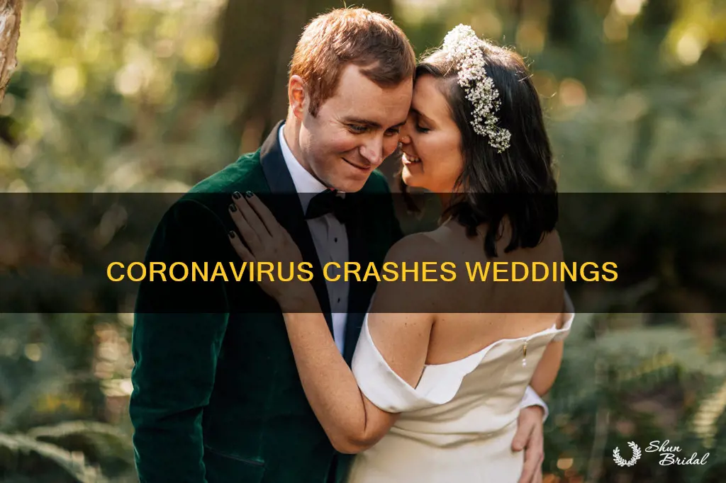 what happens to weddings during coronavirus