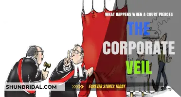 Piercing the Corporate Veil: Legal Consequences and Business Risks Explained